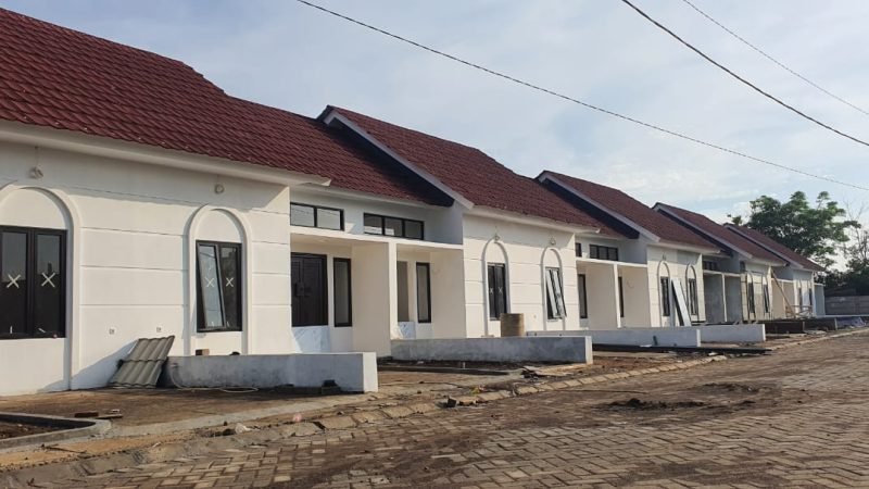 WhatsApp Image 2025-10-29 at 14.35.36 (1)