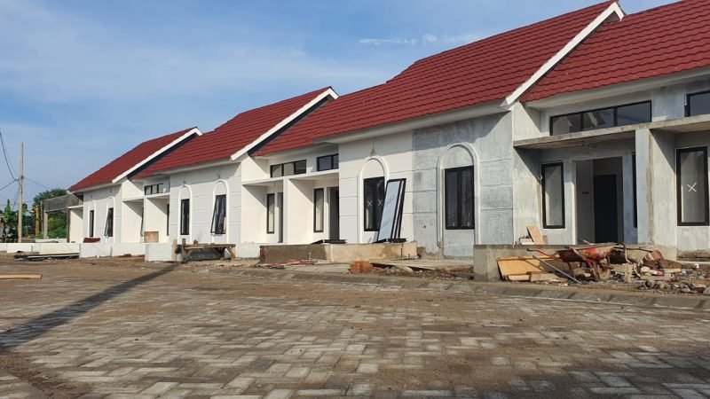 WhatsApp Image 2025-10-29 at 14.35.37